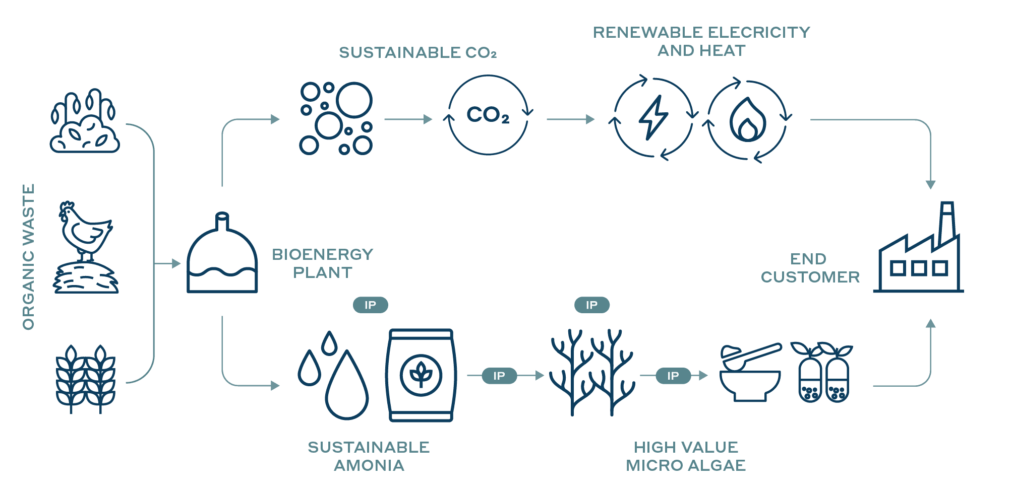 Circular biorefinery model diagram