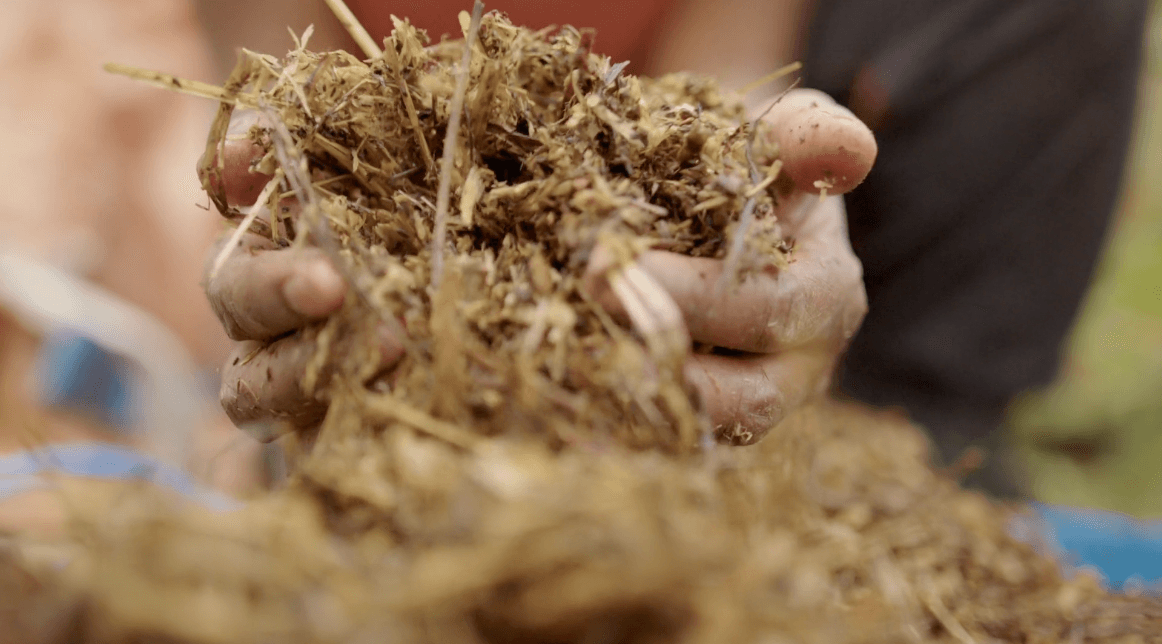 Hands scooping organic waste chicken litter