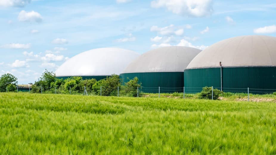 Biogas structures with green grass